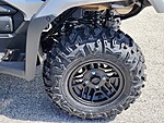 New 2024 Honda Others TRX700FA in DAVIE, FLORIDA (Photo 10)