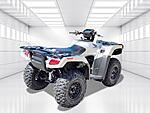 New 2024 Honda Others TRX700FA in DAVIE, FLORIDA (Photo 5)