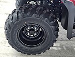 New 2025 Honda Others TRX420FA2 in DAVIE, FLORIDA (Photo 13)