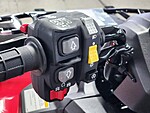New 2025 Honda Others TRX420FA2 in DAVIE, FLORIDA (Photo 18)