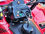 New 2024 Honda Others TRX250TE in DAVIE, FLORIDA (Photo 12)
