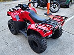 New 2024 Honda Others TRX250TE in DAVIE, FLORIDA (Photo 5)
