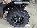 New 2025 Honda Others TRX520FA6 in DAVIE, FLORIDA (Photo 9)