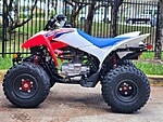 New 2025 Honda Others TRX 250X in DAVIE, FLORIDA (Photo 1)