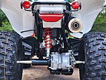 New 2025 Honda Others TRX 250X in DAVIE, FLORIDA (Photo 10)