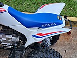 New 2025 Honda Others TRX 250X in DAVIE, FLORIDA (Photo 12)