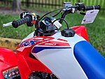 New 2025 Honda Others TRX 250X in DAVIE, FLORIDA (Photo 13)
