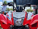 New 2025 Honda Others TRX 250X in DAVIE, FLORIDA (Photo 16)