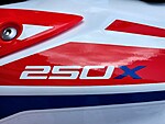 New 2025 Honda Others TRX 250X in DAVIE, FLORIDA (Photo 17)