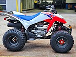 New 2025 Honda Others TRX 250X in DAVIE, FLORIDA (Photo 2)