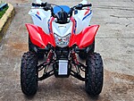 New 2025 Honda Others TRX 250X in DAVIE, FLORIDA (Photo 3)