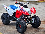 New 2025 Honda Others TRX 250X in DAVIE, FLORIDA (Photo 4)