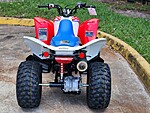New 2025 Honda Others TRX 250X in DAVIE, FLORIDA (Photo 5)