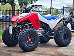 New 2025 Honda Others TRX 250X in DAVIE, FLORIDA (Photo 6)