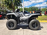 New 2025 Honda Fourtrax Foreman? Rubicon  in DAVIE, FLORIDA (Photo 1)