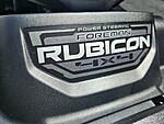 New 2025 Honda Fourtrax Foreman? Rubicon  in DAVIE, FLORIDA (Photo 16)