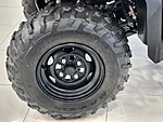 New 2024 Honda Fourtrax Foreman? Rubicon  in DAVIE, FLORIDA (Photo 12)