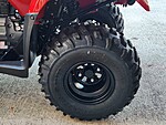New 2025 Honda Trx? 250ex  in DAVIE, FLORIDA (Photo 10)