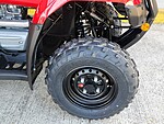 New 2025 Honda Trx? 250ex  in DAVIE, FLORIDA (Photo 15)