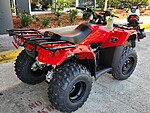 New 2025 Honda Trx? 250ex  in DAVIE, FLORIDA (Photo 5)
