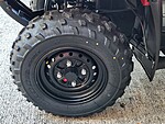 New 2025 Honda Trx? 250ex  in DAVIE, FLORIDA (Photo 7)