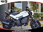 New 2025 Honda Others navi in DAVIE, FLORIDA (Photo 1)