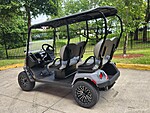 New 2025 EZGO Others LIBERTY in DAVIE, FLORIDA (Photo 7)