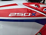 New 2026 Honda Others TRX250X in DAVIE, FLORIDA (Photo 18)