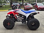 New 2026 Honda Others TRX250X in DAVIE, FLORIDA (Photo 2)