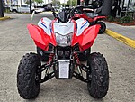 New 2026 Honda Others TRX250X in DAVIE, FLORIDA (Photo 6)