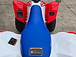 New 2026 Honda Others TRX250X in DAVIE, FLORIDA (Photo 14)