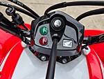 New 2026 Honda Others TRX250X in DAVIE, FLORIDA (Photo 17)