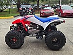 New 2026 Honda Others TRX250X in DAVIE, FLORIDA (Photo 2)