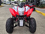 New 2026 Honda Others TRX250X in DAVIE, FLORIDA (Photo 6)