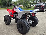 New 2026 Honda Others TRX250X in DAVIE, FLORIDA (Photo 3)