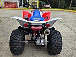 New 2026 Honda Others TRX250X in DAVIE, FLORIDA (Photo 4)