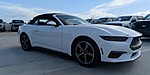 New 2025 FORD MUSTANG ECOBOOST CONVERTIBLE in DELRAY BEACH, FLORIDA