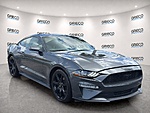 Used 2019 FORD MUSTANG ECOBOOST FASTBACK in FORT LAUDERDALE, FLORIDA (Photo 1)