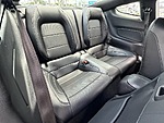 Used 2019 FORD MUSTANG ECOBOOST FASTBACK in FORT LAUDERDALE, FLORIDA (Photo 13)