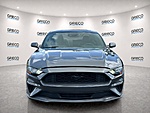 Used 2019 FORD MUSTANG ECOBOOST FASTBACK in FORT LAUDERDALE, FLORIDA (Photo 2)