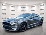 Used 2019 FORD MUSTANG ECOBOOST FASTBACK in FORT LAUDERDALE, FLORIDA (Photo 3)