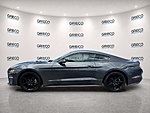 Used 2019 FORD MUSTANG ECOBOOST FASTBACK in FORT LAUDERDALE, FLORIDA (Photo 4)