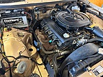 Used 1983 MERCEDES-BENZ 230 E SEDAN - (COLLECTORS SERIES) in JACKSONVILLE, FLORIDA (Photo 49)