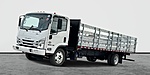 New 2024 ISUZU NRR  in PHOENIX, ARIZONA