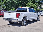 Used 2025 FORD F-150 XLT in FRANKLIN, MASSACHUSETTS (Photo 5)
