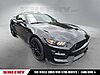 Used 2019 FORD MUSTANG SHELBY GT350 in WARRENTON, VIRGINIA