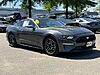 Used 2019 FORD MUSTANG ECOBOOST in SPRINGFIELD, VIRGINIA