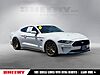 Used 2021 FORD MUSTANG GT in SPRINGFIELD, VIRGINIA