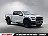 Used 2017 FORD F-150 RAPTOR in SPRINGFIELD, VIRGINIA