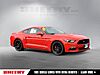 Used 2016 FORD MUSTANG GT PREMIUM in SPRINGFIELD, VIRGINIA